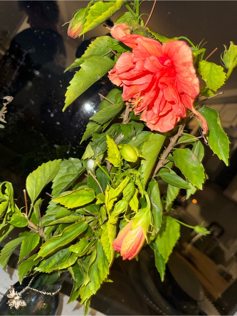 Coral Double Hibiscus Bloom Decorative Accent